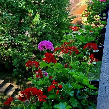 Cibulka Parque de Campismo Praga